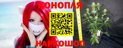 спиды Будённовск