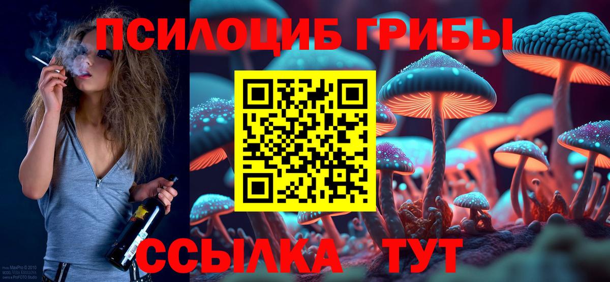 Сергиев Посад  Галлюциногенные грибы мухоморы  Вход с VPN 