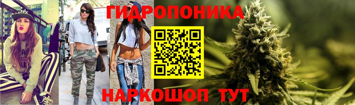 Сергиев Посад  Каннабис сатива  Вход с VPN  Бошки марихуана тримм  Марихуана план  Бошки Шишки LSD WEED 